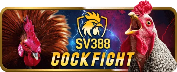 Tin tức Cập nhật hệ thống W88club